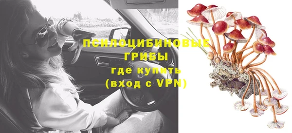 индика Надым