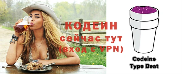 индика Надым