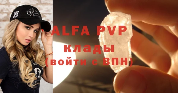 индика Надым