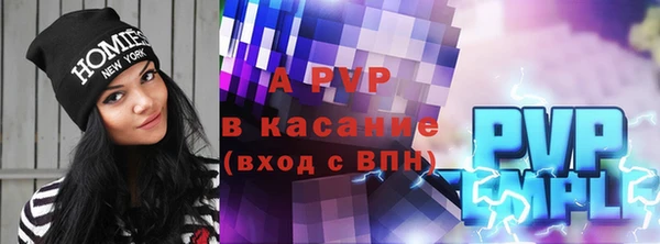 индика Надым