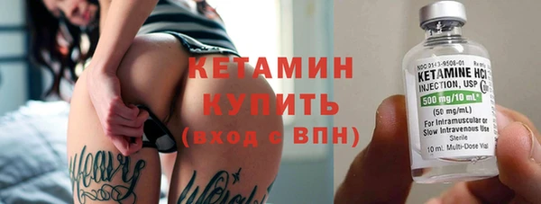 индика Надым