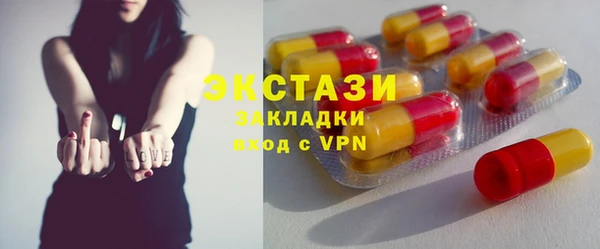 индика Надым