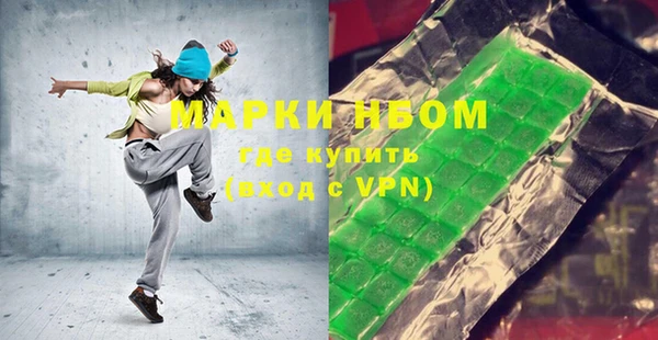 индика Надым