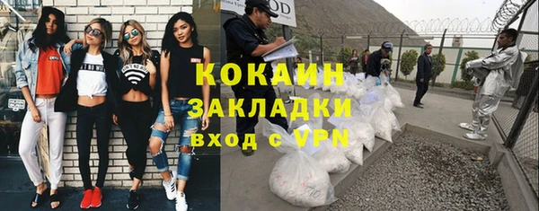 индика Надым