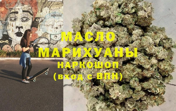 индика Надым