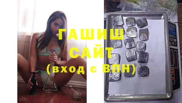 индика Надым