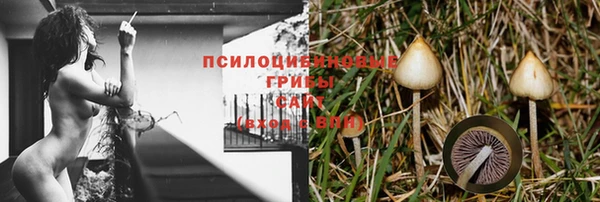 эйфоретик Наволоки