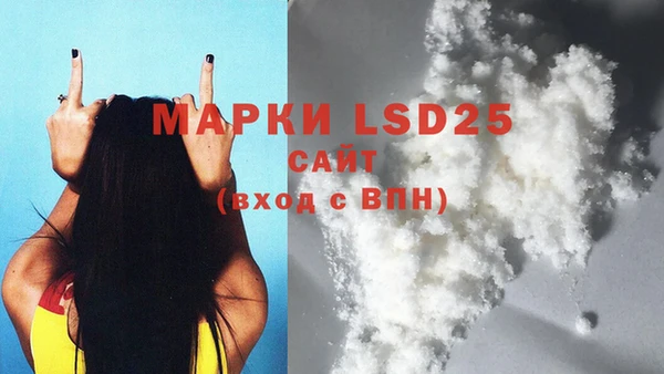 индика Надым