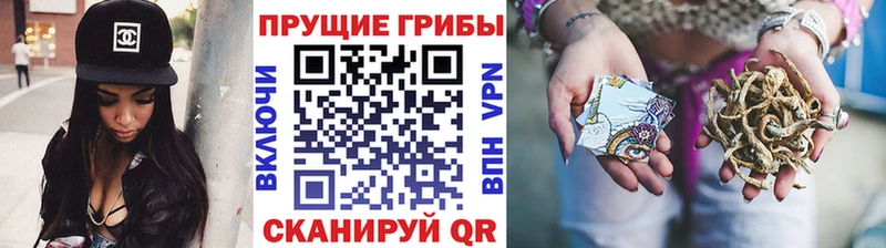 Купить где  Баксан  Галлюциногенные грибы GOLDEN TEACHER 